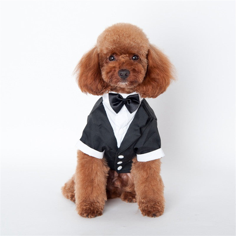 Golden Retriever Teddy Clothes for Fall Winter Pet