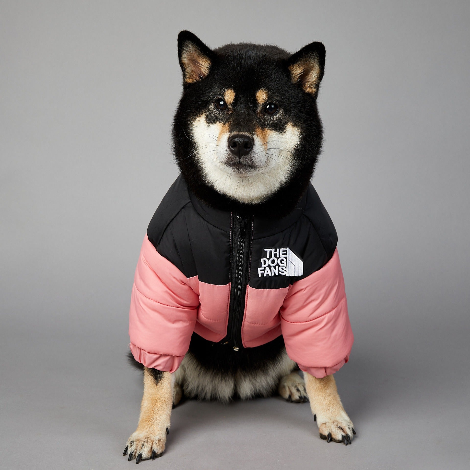 Windproof Rainproof Dog Winter Cotton-padded Clothes