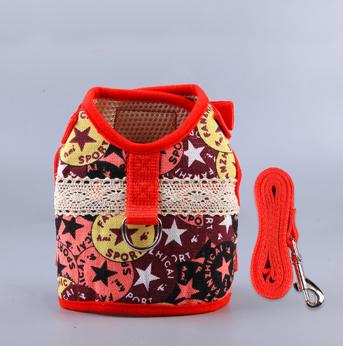 Ethnic Style Dog Leash and Clothing Set