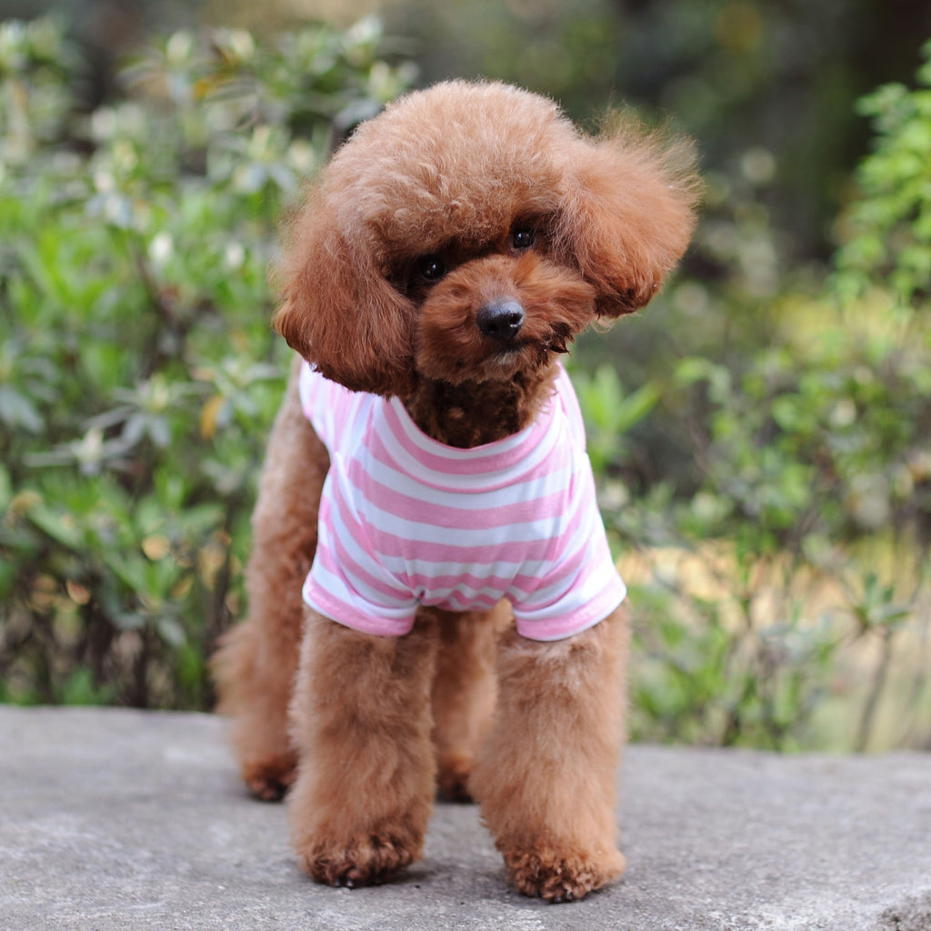 Striped Pet Tank Top for Small Dogs and Cats