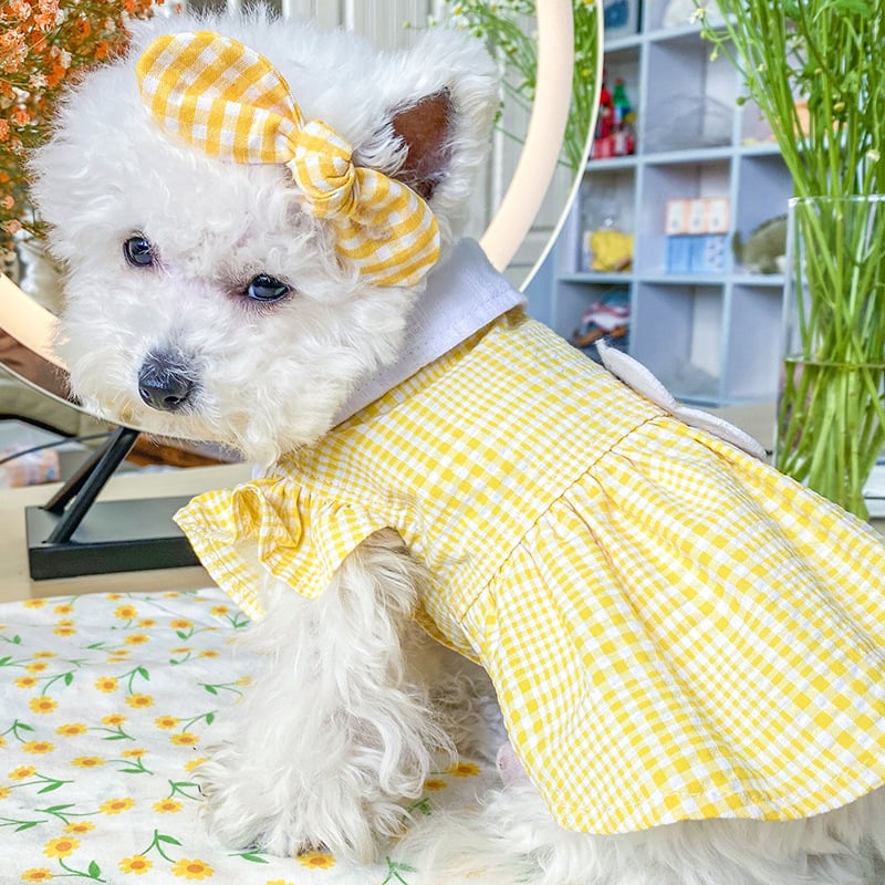 Yellow Plaid Sunflower Bee Skirt for Cats