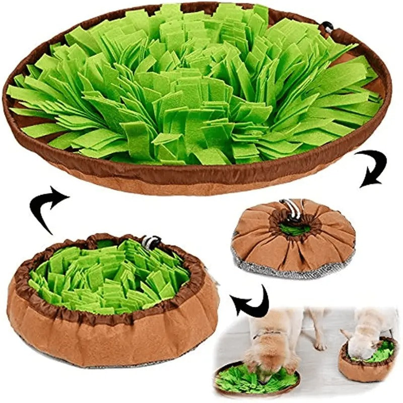 2-in-1 Dog Sniffing Mat