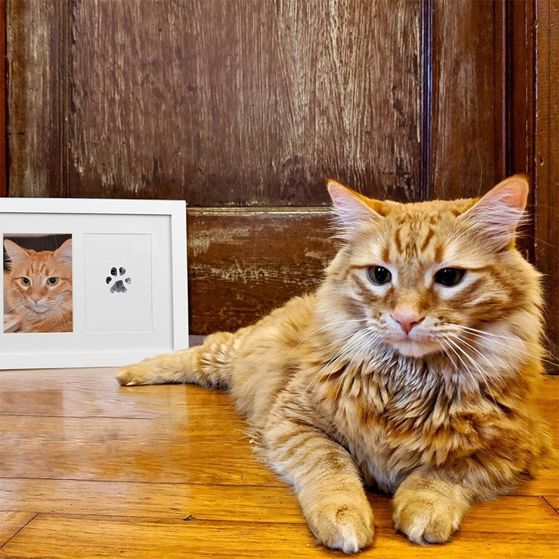 Children & Pets Fingerprint Photo Album DIY