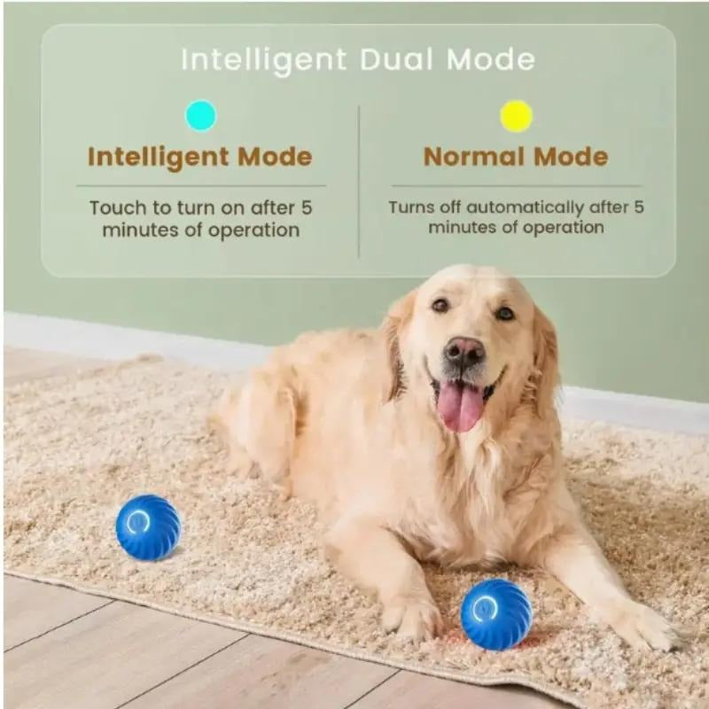 Pet Bouncing Ball for Dogs & Cats (Blue/Orange)