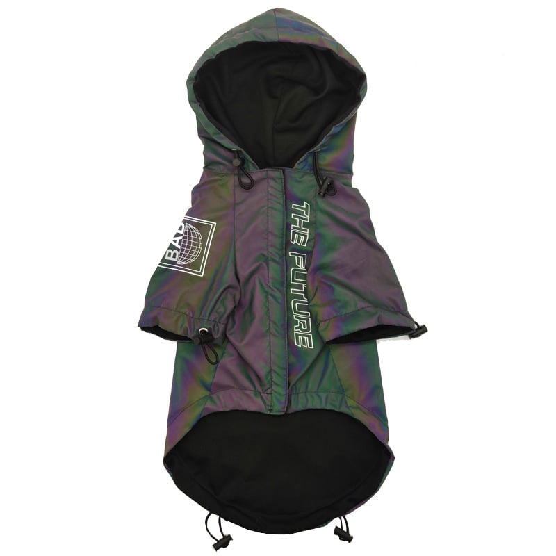 Autumn Dog Clothing Collection