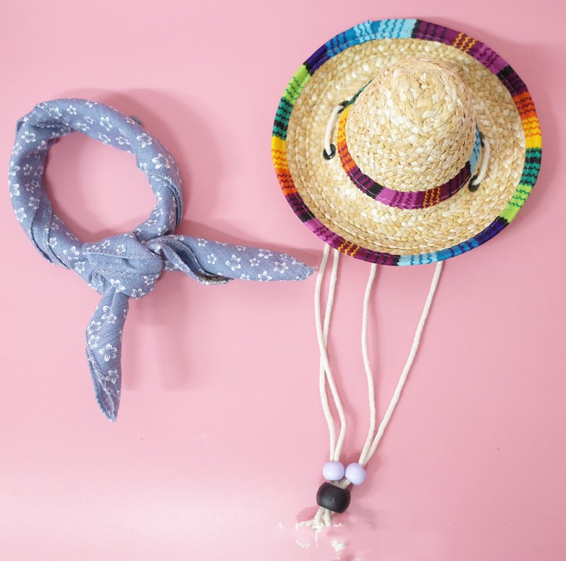 Summer Outing Set for Pet Accessories