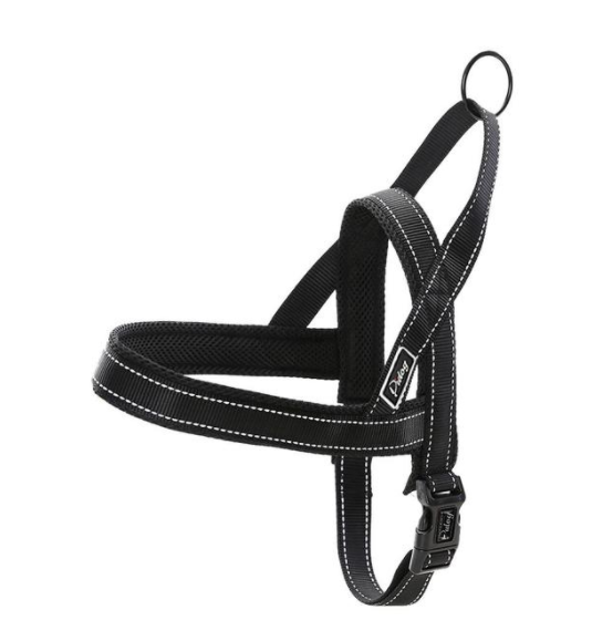 Glow Castle Quick Fit Dog Chest Strap for Easy Wear