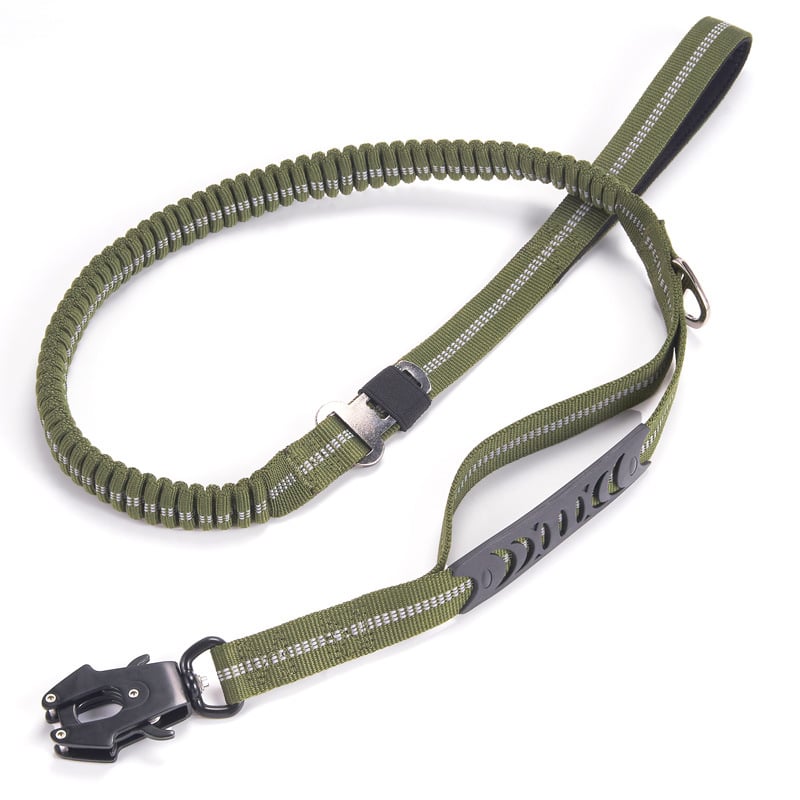 Dog Vehicle Leash