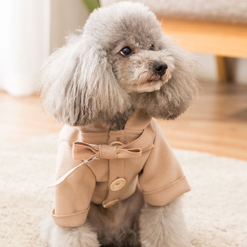 Cute Warm Padded Winter Coat for Pets