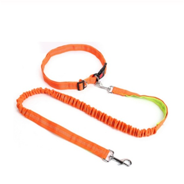 Dog Leash and Tethering Rope for Pets