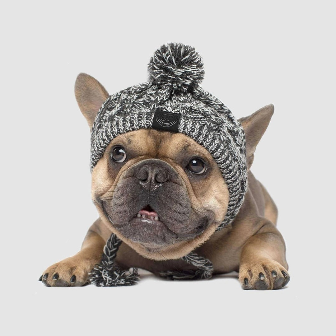 Winter Dog Pom Hat Knitted Warm