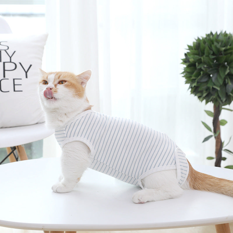 Four Seasons Thin Cat Clothes for Weaning