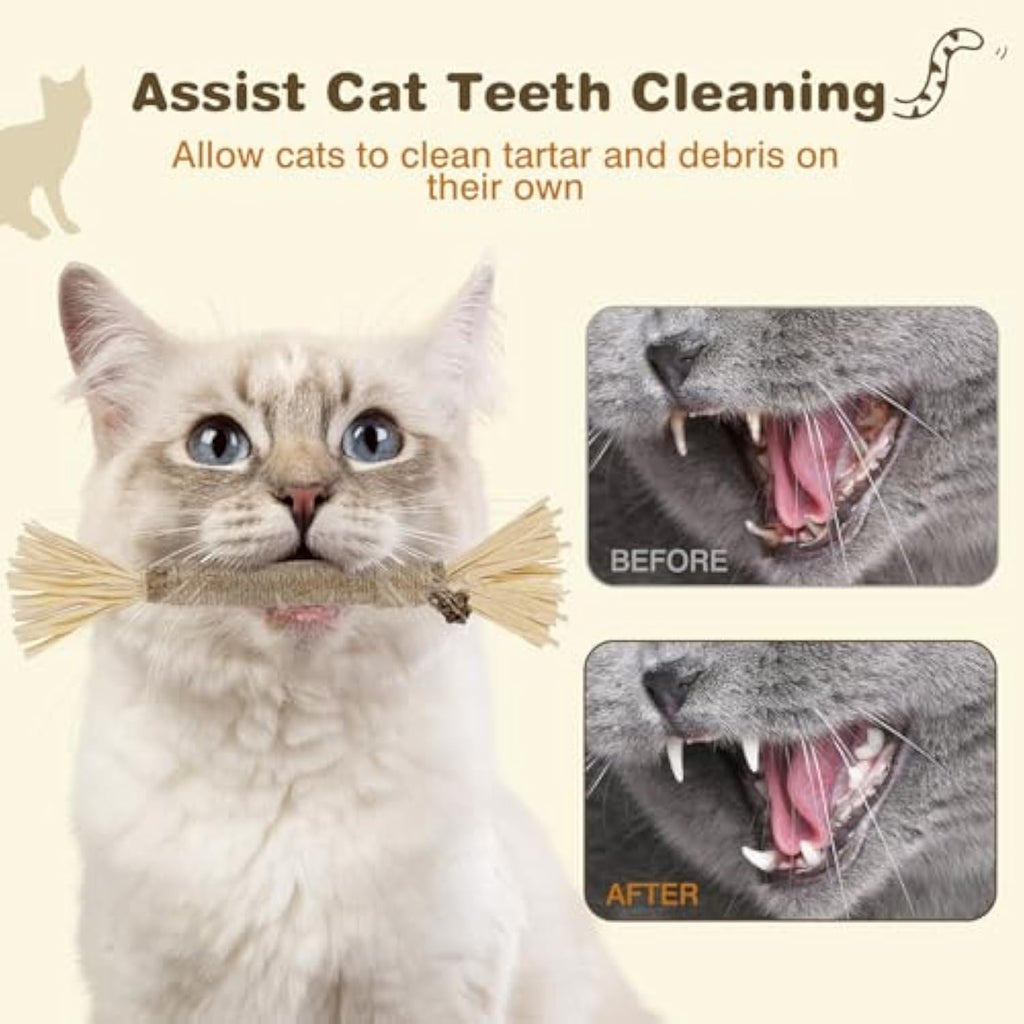 Silvervine Cat Chew Sticks (3-Pack) for Dental Care
