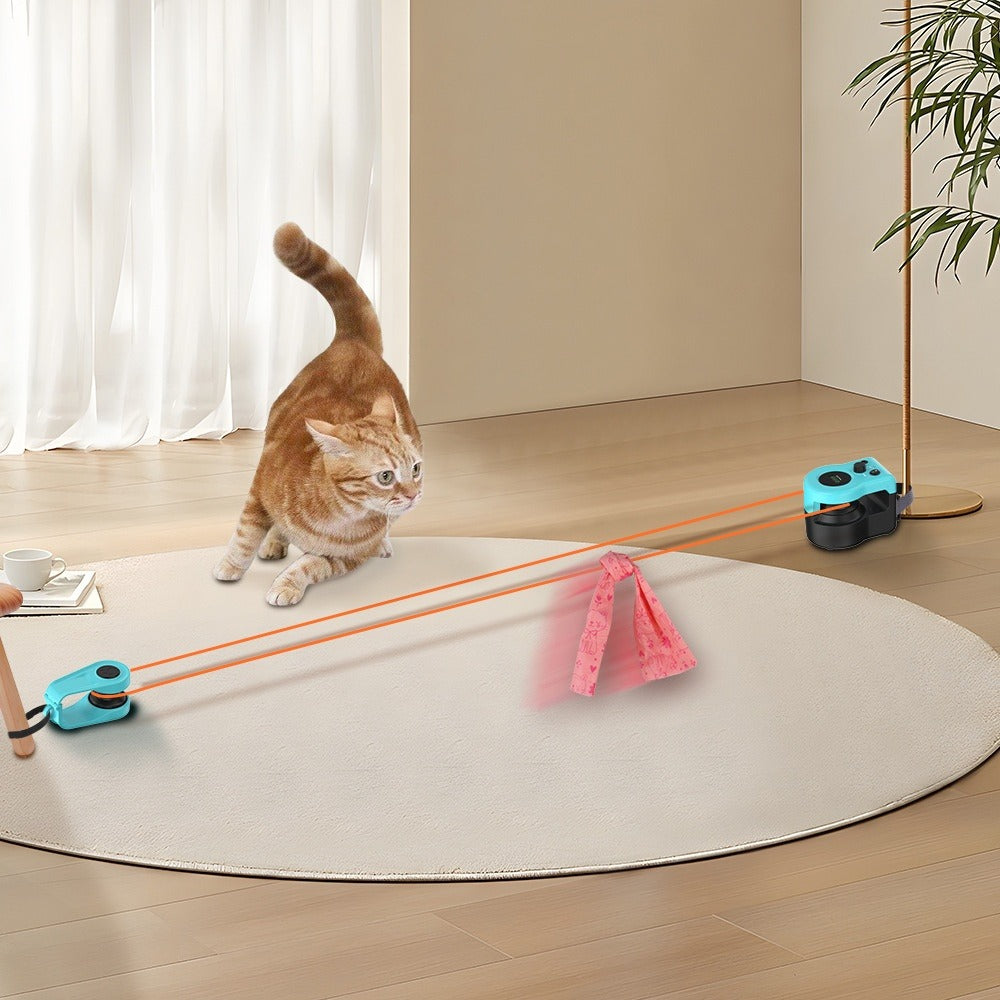 Cat Remote Control Toy