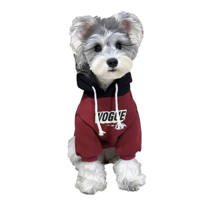 Teddy Bichon Small Dog Two-Legged Sweater for Winter