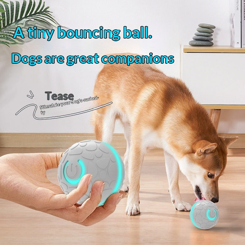 Smart Bouncing Pet Toy Ball