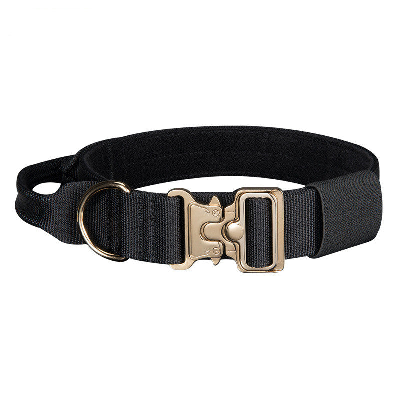 Large Dog Traction Rope and Collar for Walking