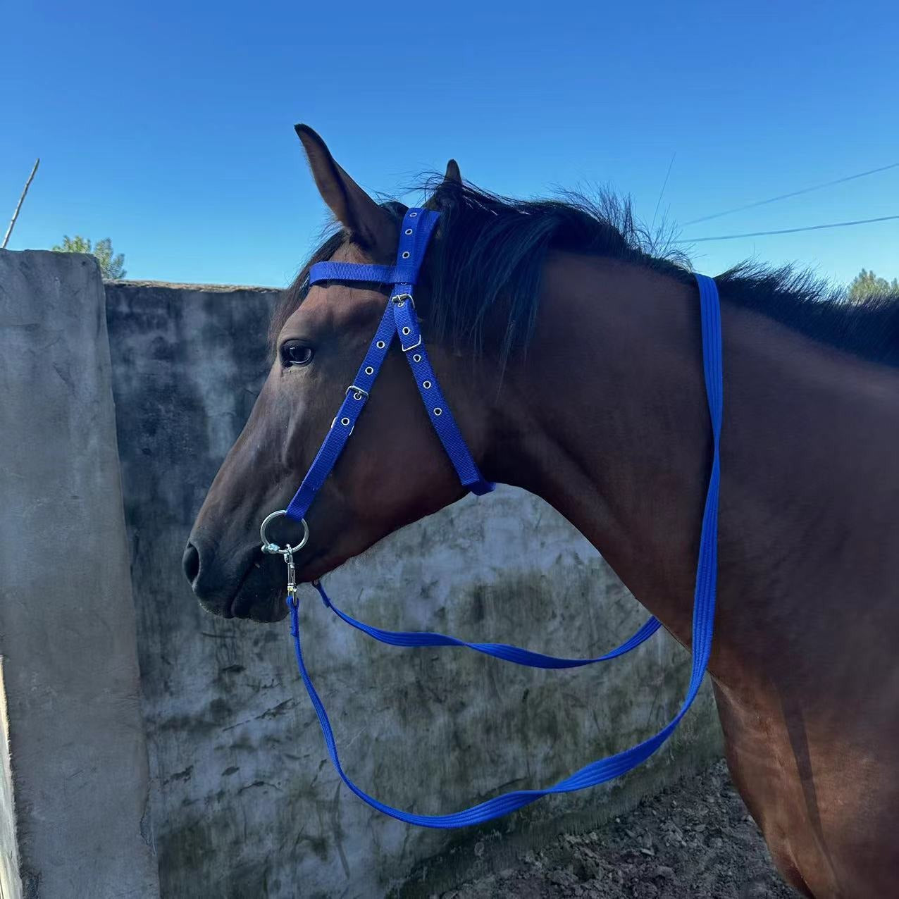 Horse Halter Rope Bridle Fiber