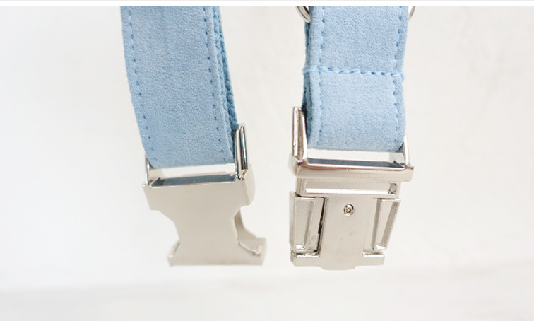 Light Blue Dog Collar and Leash Set