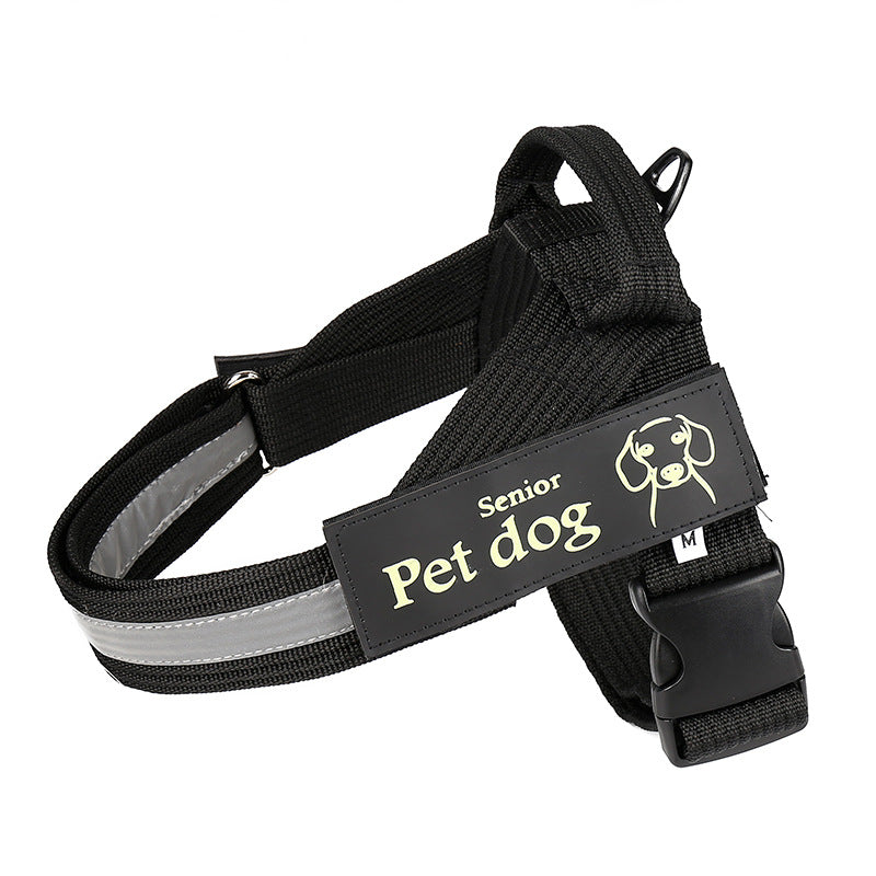 Dog Leash and Chest Harness Set