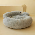 Cat & Small Dog Bed
