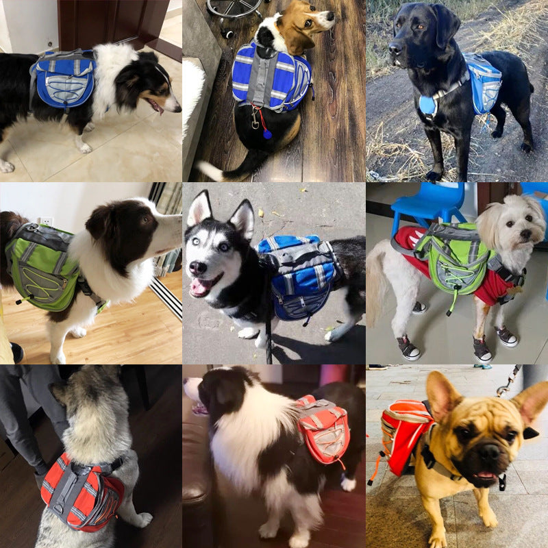 Pet Backpack for Outdoor Use - Self-Carrying Design