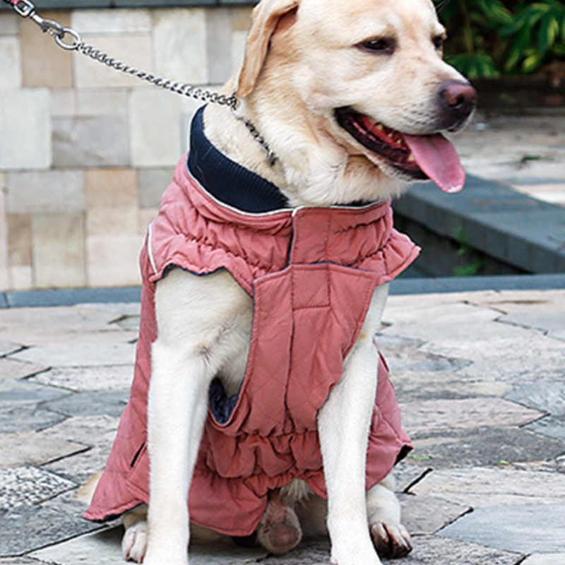 Kawaii Winter Dog Jacket - Thick Retro Pet Clothing
