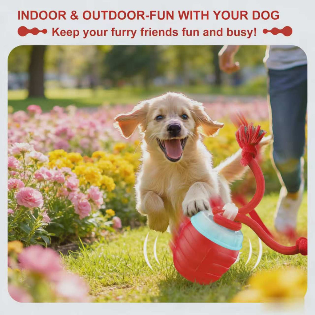 Bite-Resistant Pet Ball