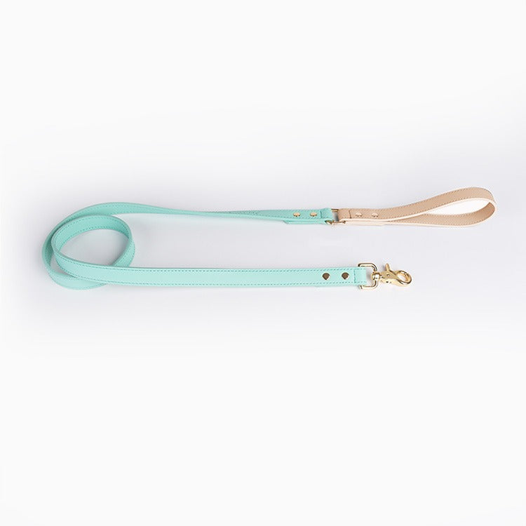 Leather Dog Leash and Collar Set