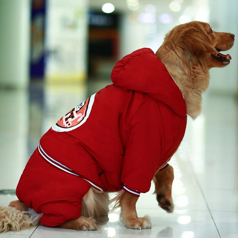 Heavy Padded Clothing for Large Dogs and Pets