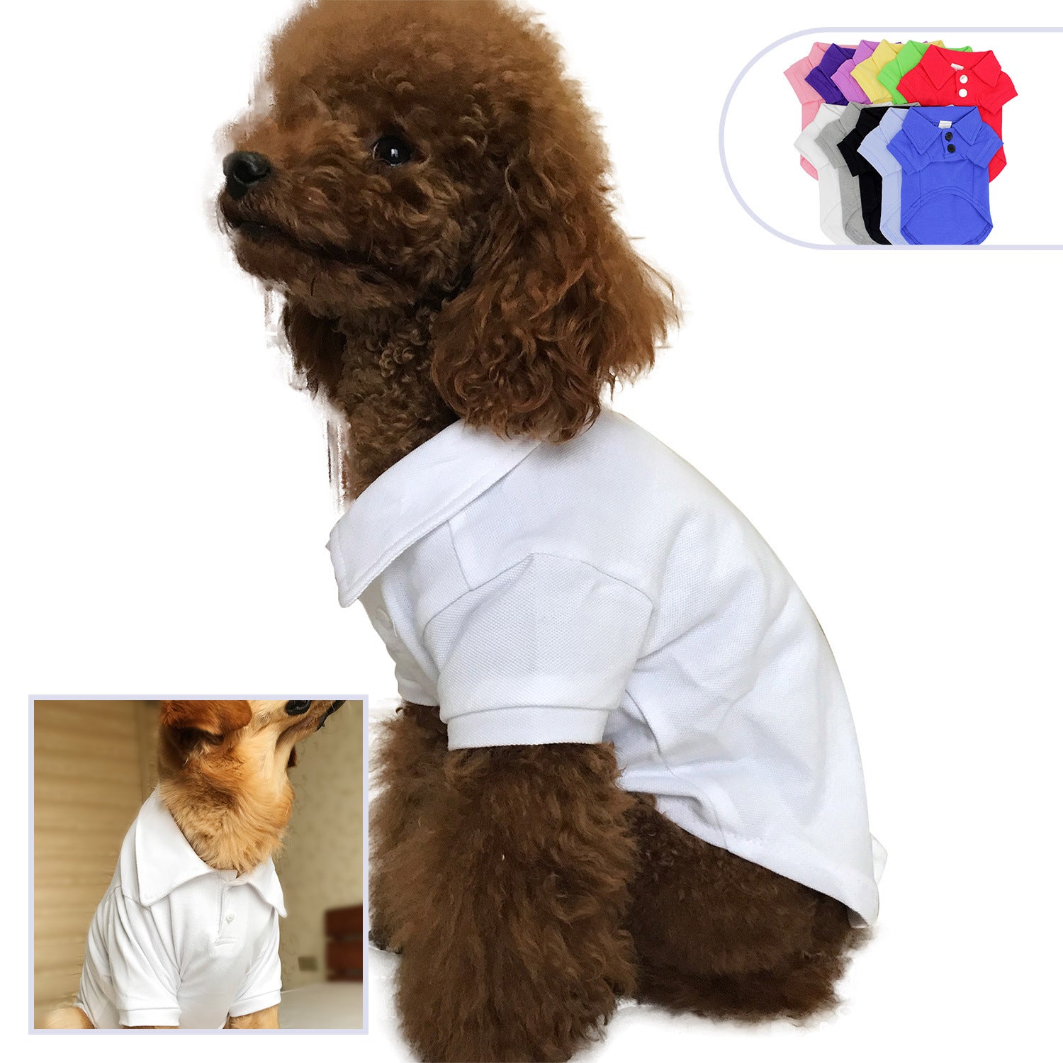 Cotton Dog Polo T-Shirt in Solid Colors for Pets