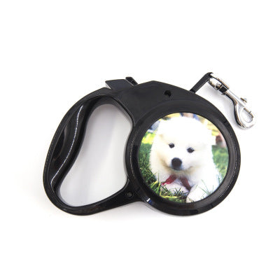 Personalized Automatic Retractable Dog Leash for Small Dogs