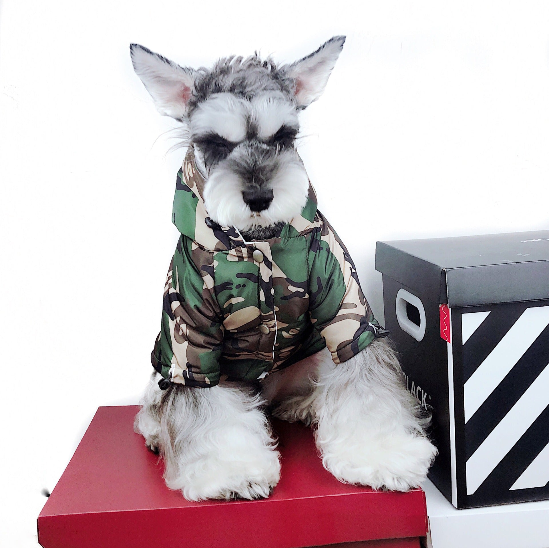 Waterproof Camouflage Raincoat for Dogs (Teddy, Schnauzer)
