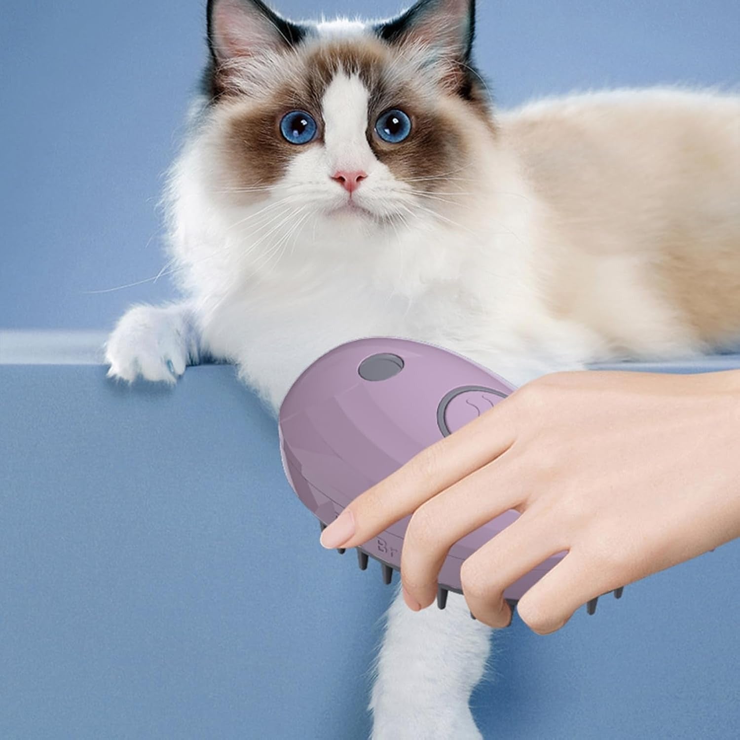3-in-1 Whale-Shaped Cat Steam Brush