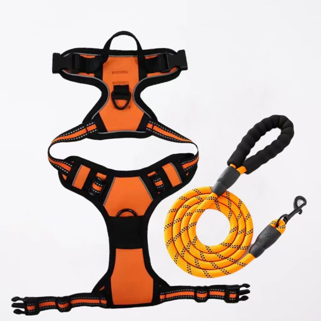 Nylon Dog Harness & Leash Set