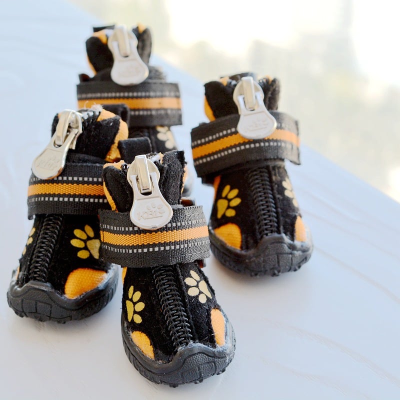 Printed Suede Cotton Shoes for Medium and Large Dogs