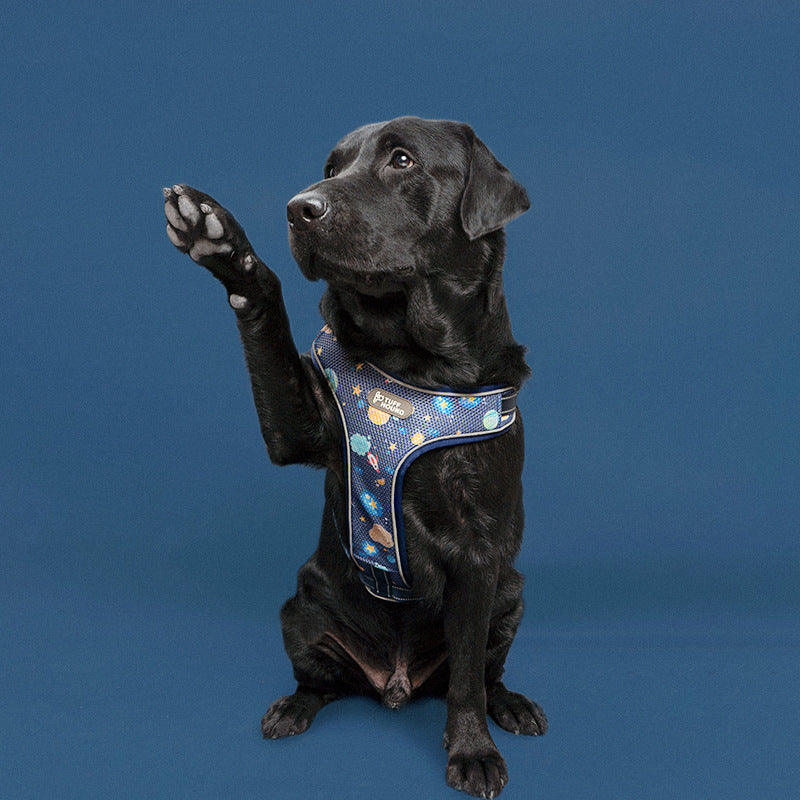 2019 New Dog Harness and Leash for Pets