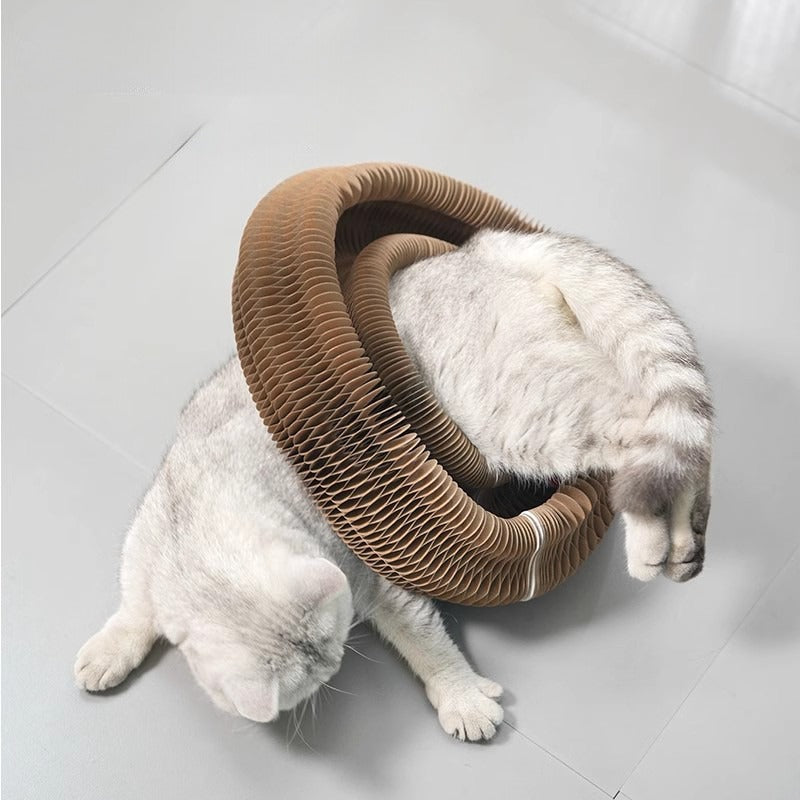 Accordion Cat Scratching Toy
