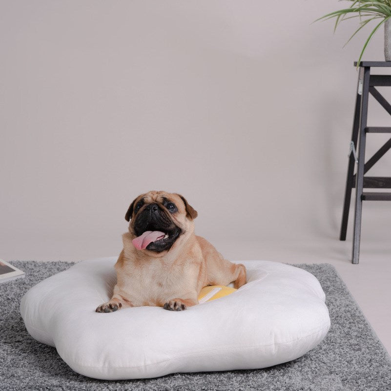Pet Bed for Cats and Dogs, All-Season, Easy to Clean