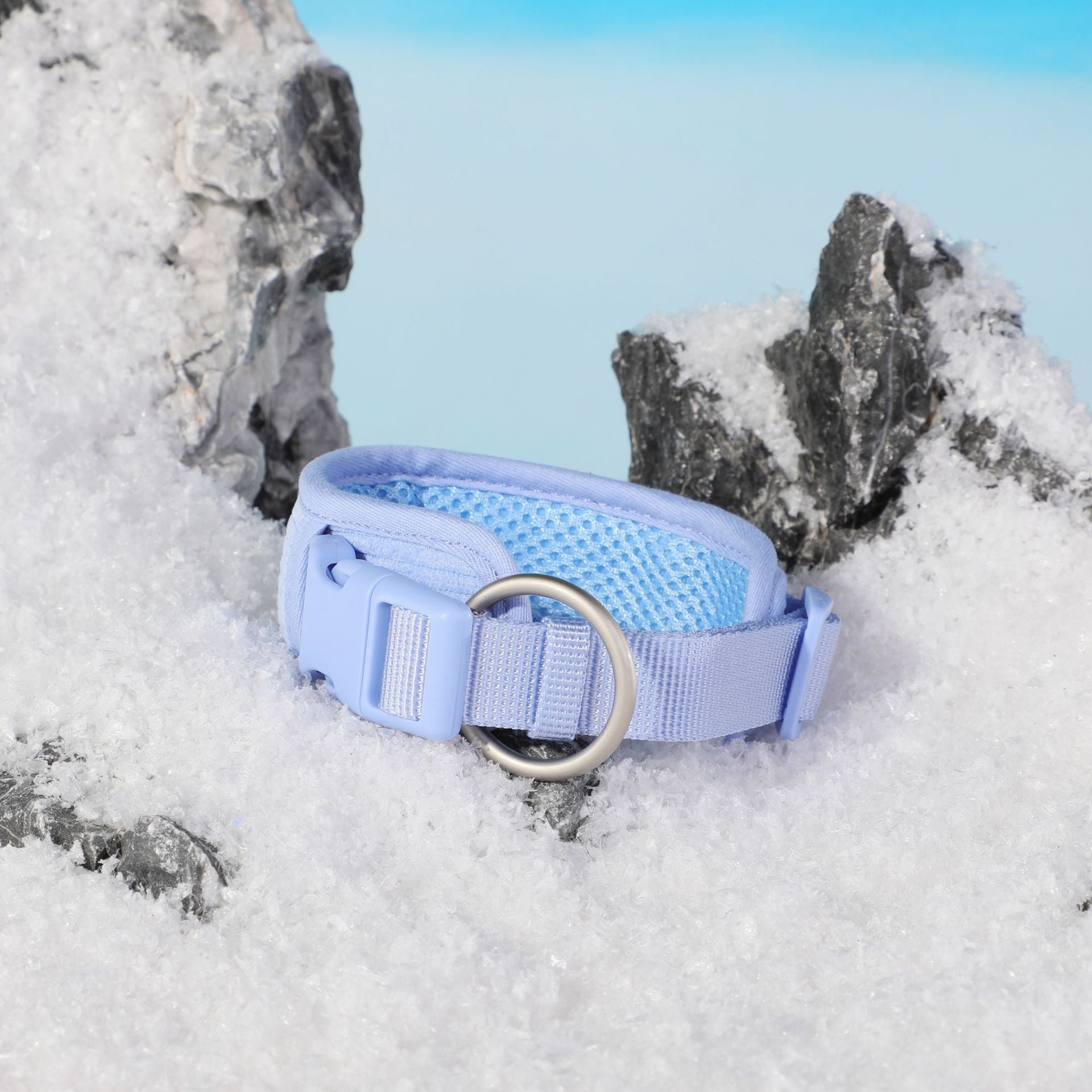 Baby Blue Pet Collar & Accessories Set
