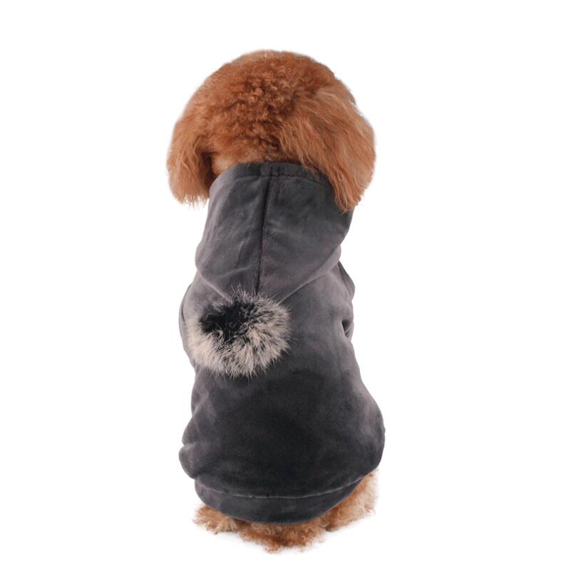 Pet Clothing for Dogs and Halloween Costumes for Cats