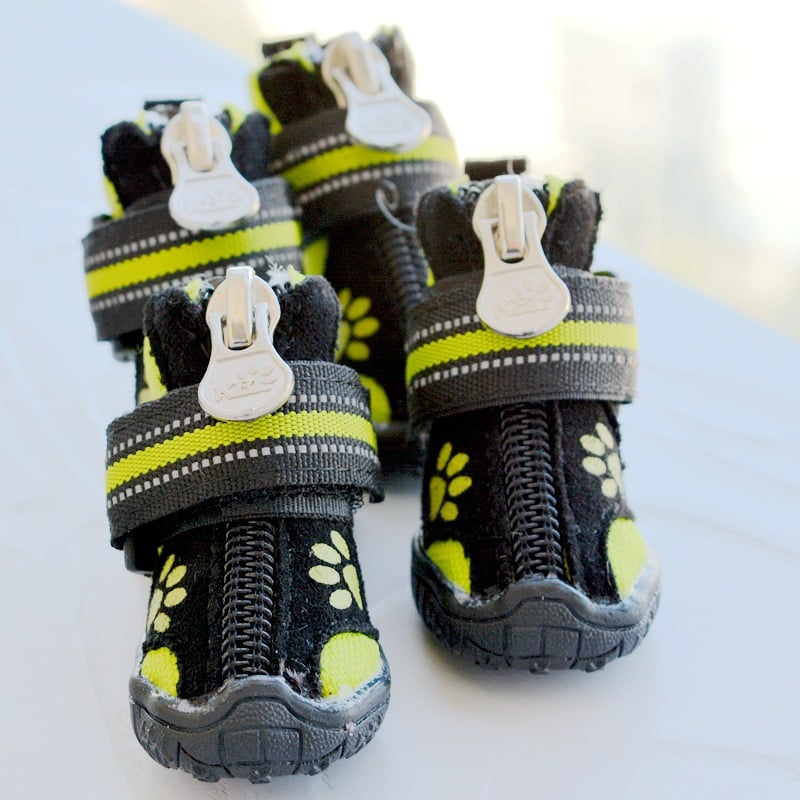 Printed Suede Cotton Shoes for Medium and Large Dogs
