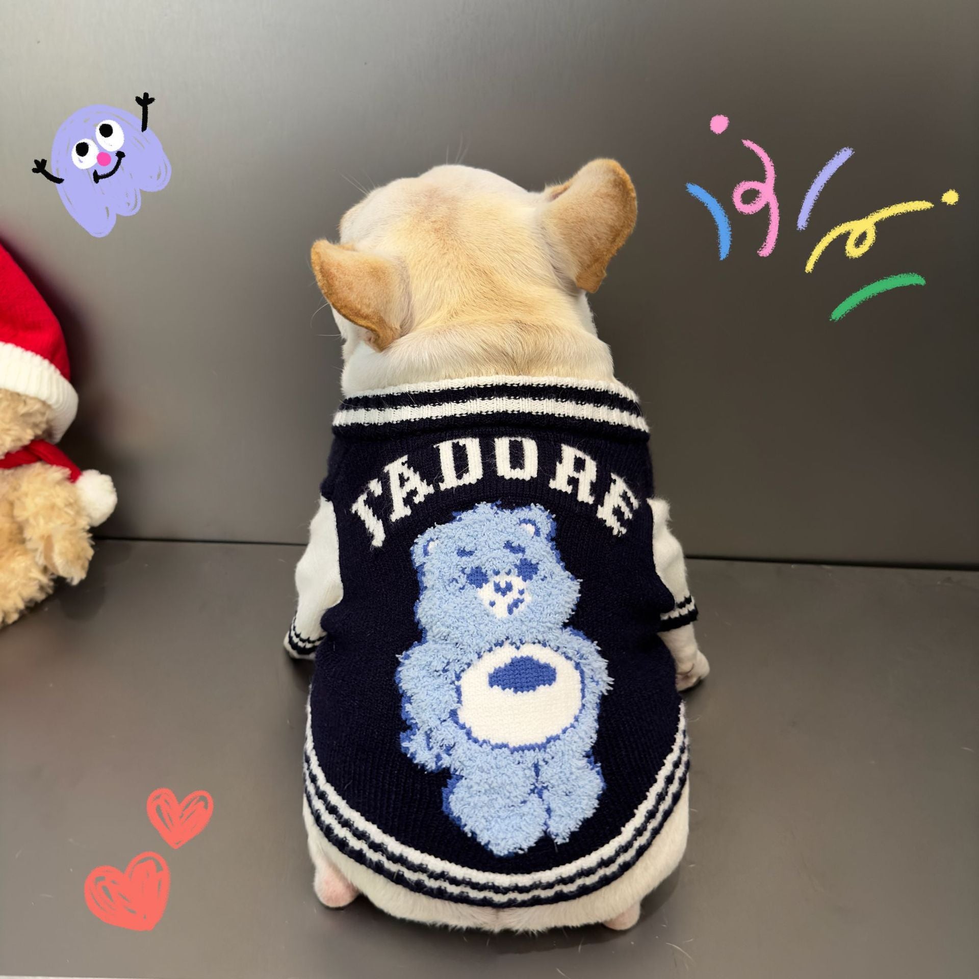 Rainbow Bear Pet Sweater for Cats and Schnauzers