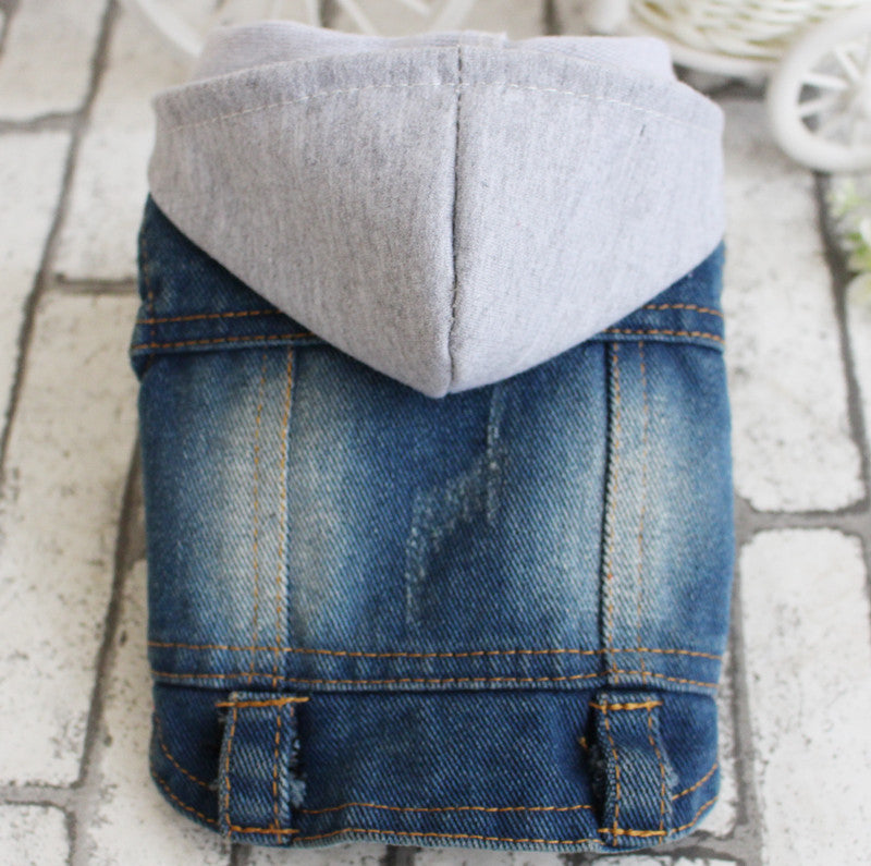 Gray Denim Vest Coat for Bichon - Spring & Summer Pet Wear
