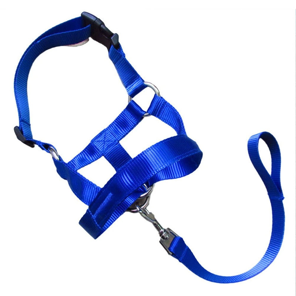 Dog Muzzle & Leash, Nylon