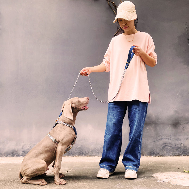 Pet Vest-style Dog Harness