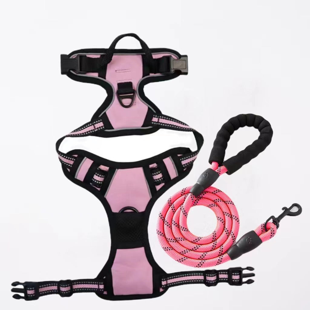 Nylon Dog Harness & Leash Set