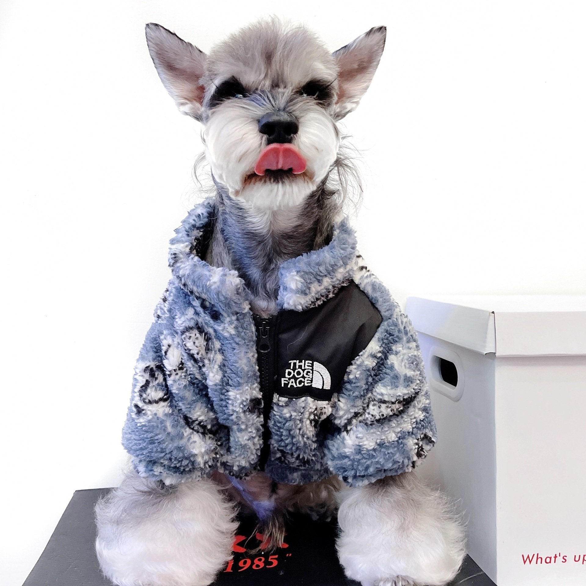 Warm Velvet Clothing for Cats and Small Dogs