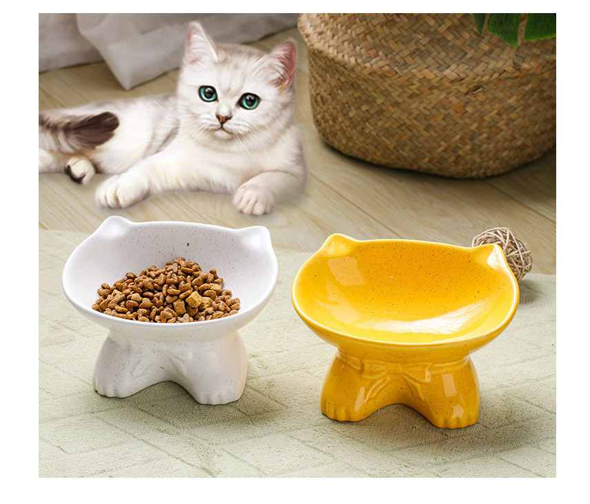 Ceramic Pet Bowl for Dogs and Cats with Anti-Spill Design