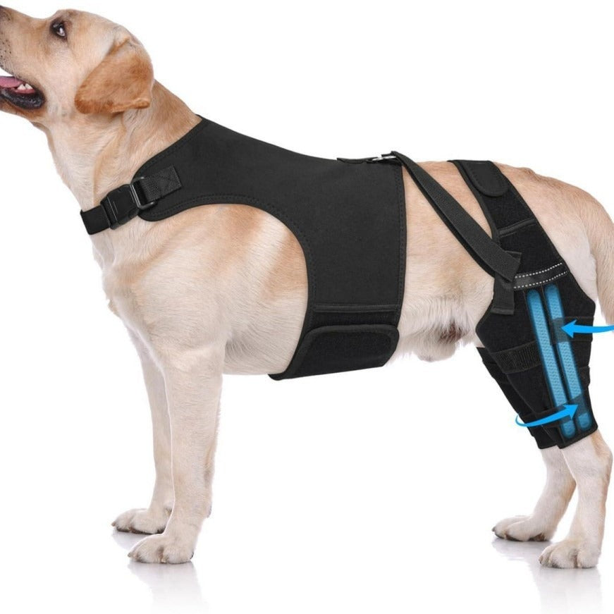 Rear & Hind Leg Cover